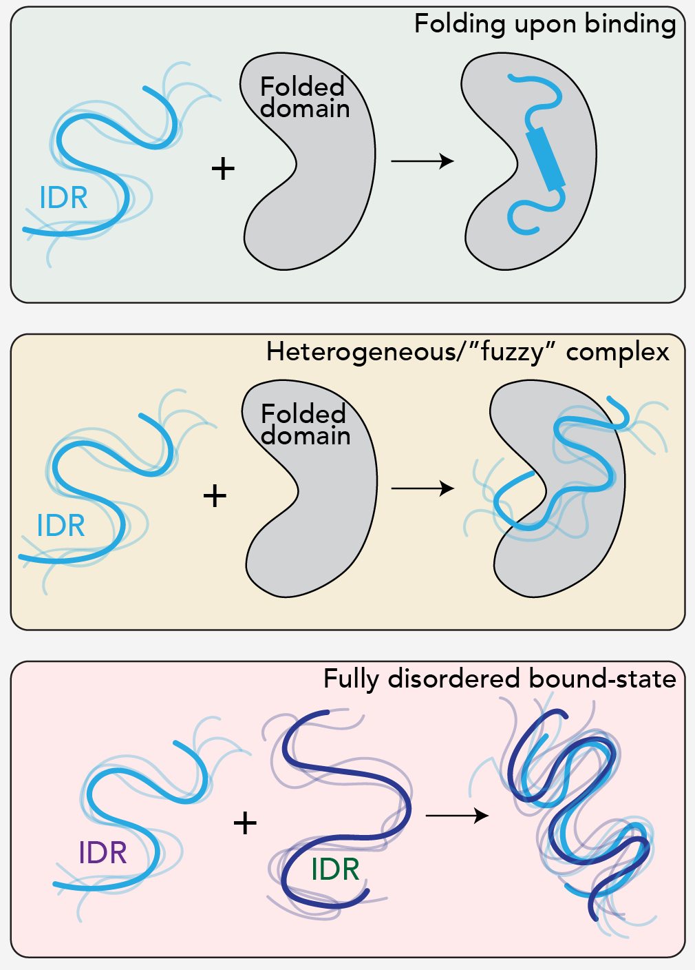 Binding modes